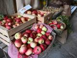 Obstmärkte im Stadtgebiet Bad Staffelstein