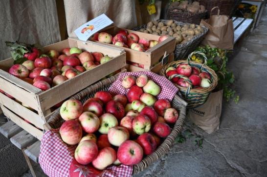 Obstmärkte im Stadtgebiet