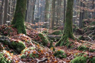 ruhe & Natur genießen